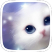 Pussy Kitty Theme APK