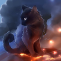 Hello Black Kitty