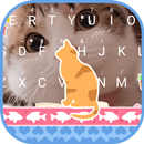 Cat Stare Theme&Emoji Keyboard APK