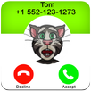 Call From Tom Talking Cat APK