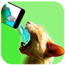 Cat Meow Drink Cocktail Simulator APK