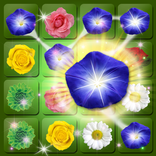 Blossom Flower Mania