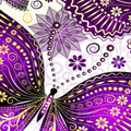 butterfly dragonfly wallpapers