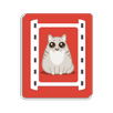 Catstagram APK