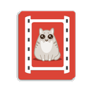 Catstagram APK