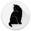 Cats of the world