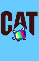 New TV Cat Poster