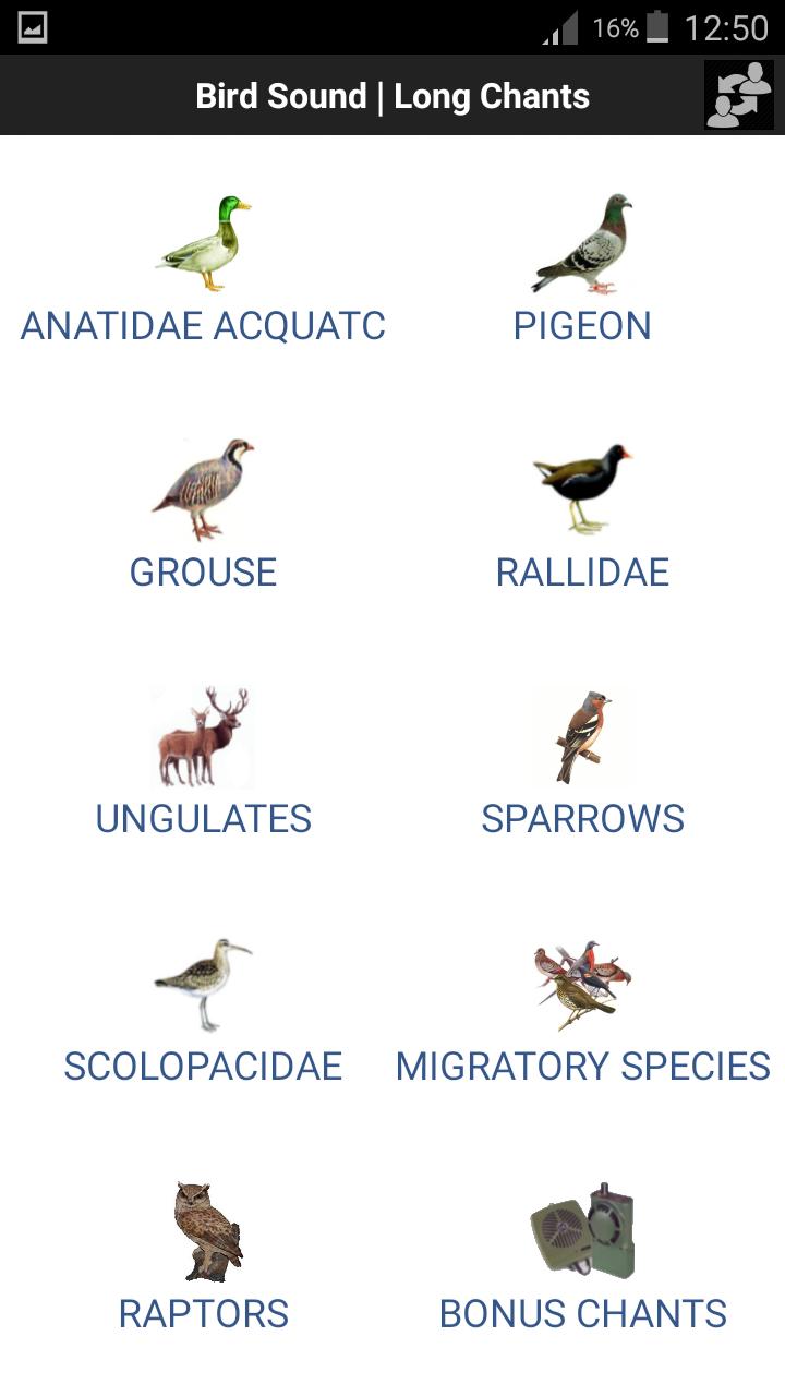 Bird Sound Free APK for Android Download Bird Sound Free APK for Android Download