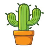 Cactus IPTV