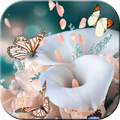 Calla Rose Spring Theme