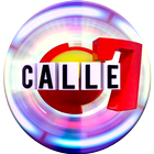 Calle 7 아이콘