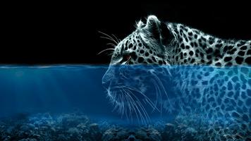 3D Water Camera screenshot 2