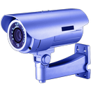 APK Viewer for Intellinet IP cams