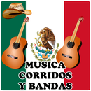 🎵🇲🇽 Musica corridos y bandas mexicana APK