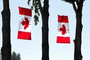Canada Day Wishes скриншот 1