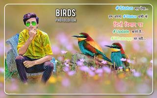 Bird Photo Editor 스크린샷 3
