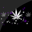 APK Cannabis HD Live Wallpaper