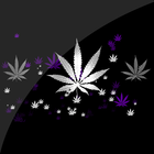 Cannabis HD Live Wallpaper icône