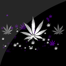 Cannabis HD Live Wallpaper APK