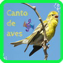 Bird song APK