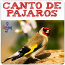 Birdsong APK