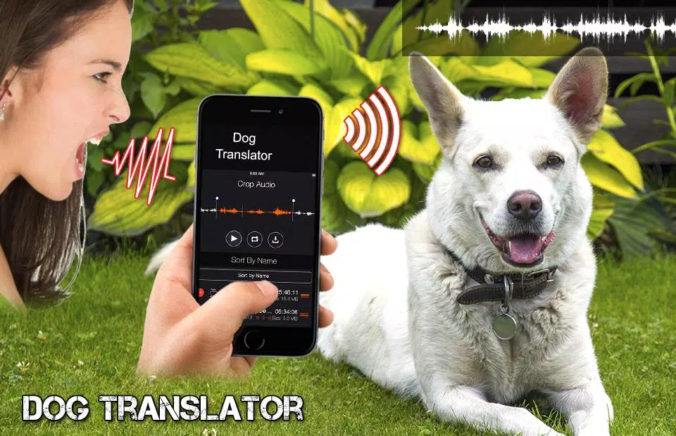 Dog Translator Simulator Apk For Android Download