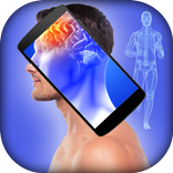 X-ray Body Scanner Simulator
