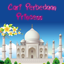 Cari Perbedaan Princess APK