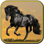 Horse Pictures icon