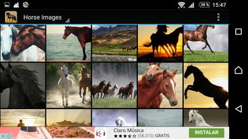 Horse Pictures screenshot 1
