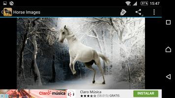 Photos de cheval capture d'écran 3