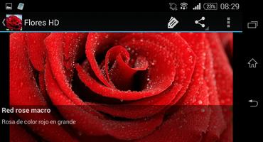 Flores HD 截图 2