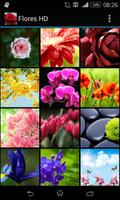 Flowers in HD اسکرین شاٹ 3