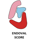 Endoval Score icône