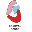 ”Endoval Score