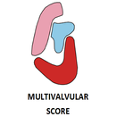 MULTIVALVULAR SCORE (MVS) icon
