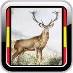 Hunting - Calls - Social Network - Moon Calendar APK download