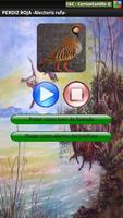 Caza Reclamo - APP Plakat