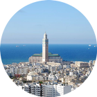 Casablanca - Wiki icon
