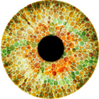 Colour Blindness Detector biểu tượng