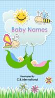 Hindu Baby Names 포스터