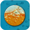 CC Demo APK