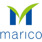 ikon Marico DSR App