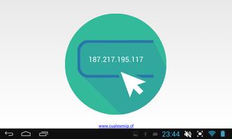 برنامه‌نما What is my IP? عکس از صفحه