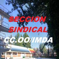 APP Sección Sindical de CC.OO الملصق