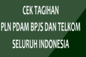 برنامه‌نما cek tagihan pln pdam bpjs onli عکس از صفحه