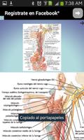 AnatoGaleria ภาพหน้าจอ 2