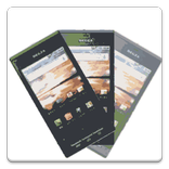 Shake Shake　dangerous game