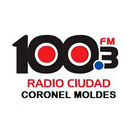 Radio Ciudad Coronel Moldes APK