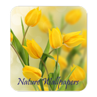 Nature Wallpapers HD آئیکن